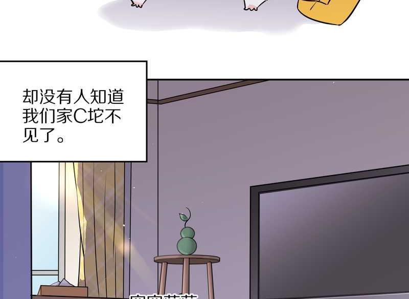 毛球星传说 第55集(1/2)-第55话