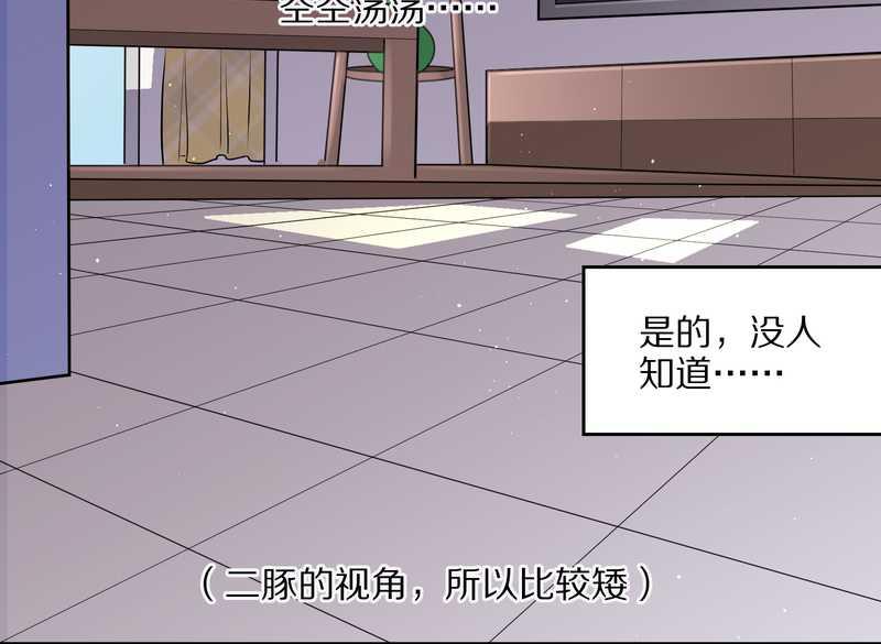 毛球星传说 第55集(1/2)-第55话