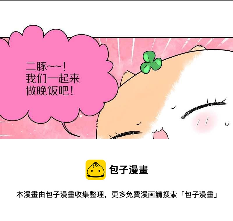 毛球星传说 第55集(1/2)-第55话
