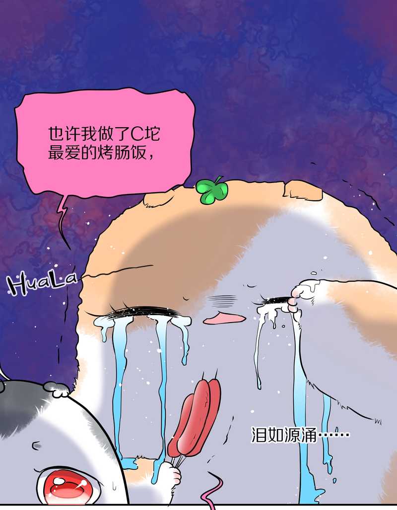 毛球星传说 第55集(1/2)-第55话