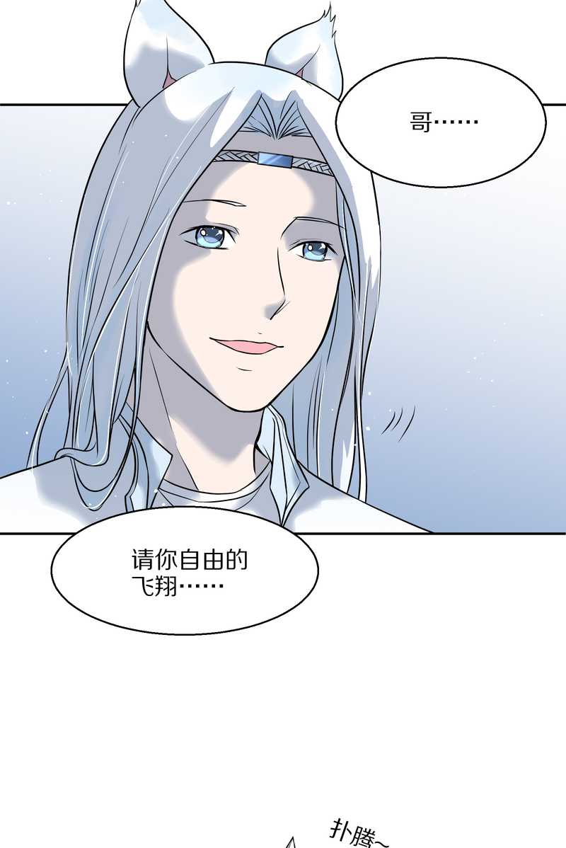 毛球星传说 第55集(1/2)-第55话