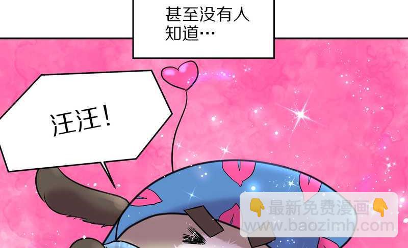 毛球星传说 第55集(1/2)-第55话