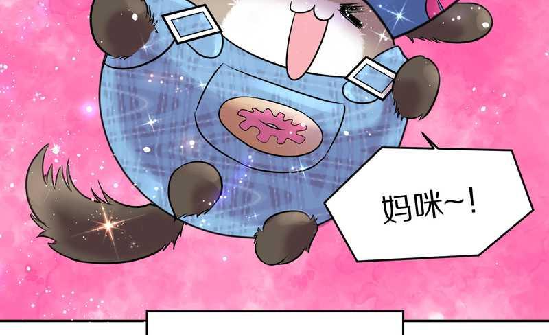 毛球星传说 第55集(1/2)-第55话
