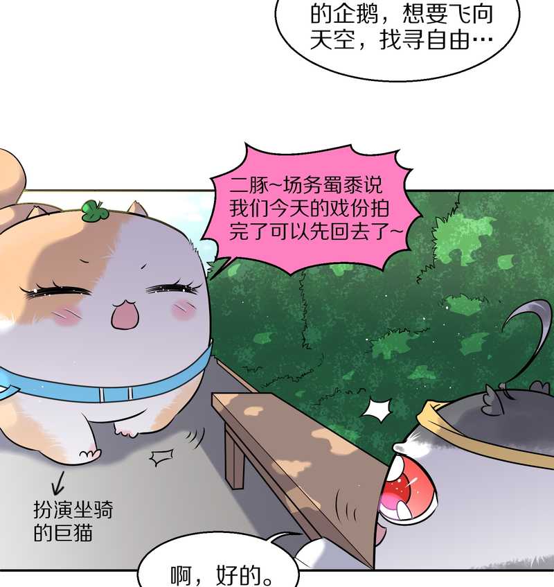 毛球星传说 第55集(1/2)-第55话