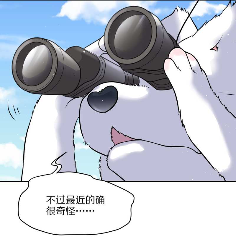 毛球星传说 第57集(1/2)-第57话