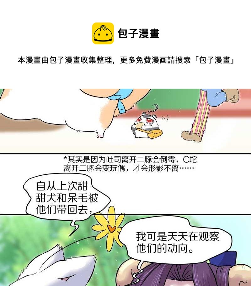 毛球星传说 第57集(1/2)-第57话