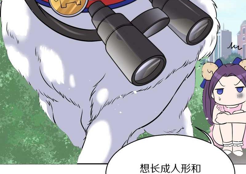 毛球星传说 第57集(1/2)-第57话