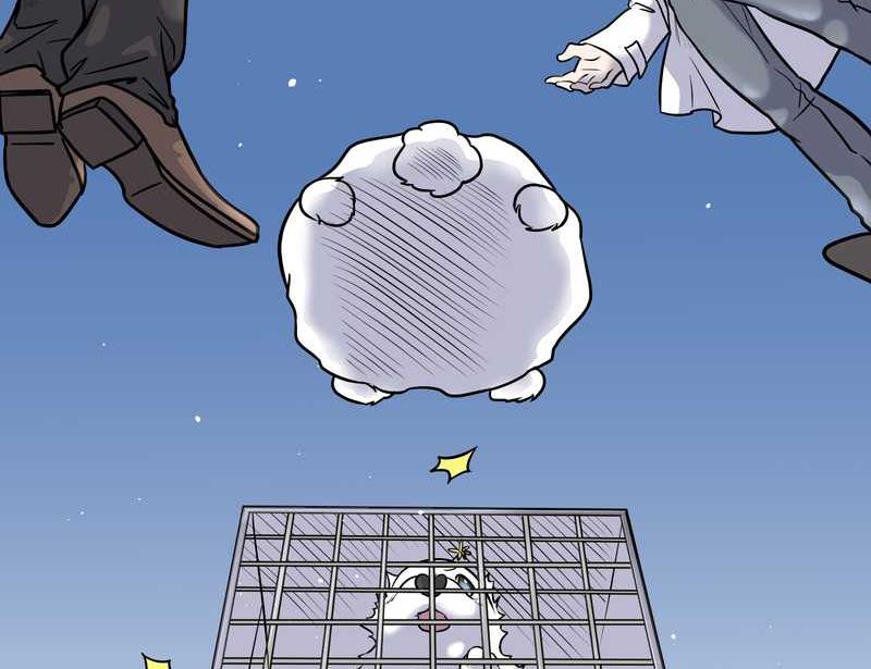 毛球星传说 第59集(1/2)-第59话