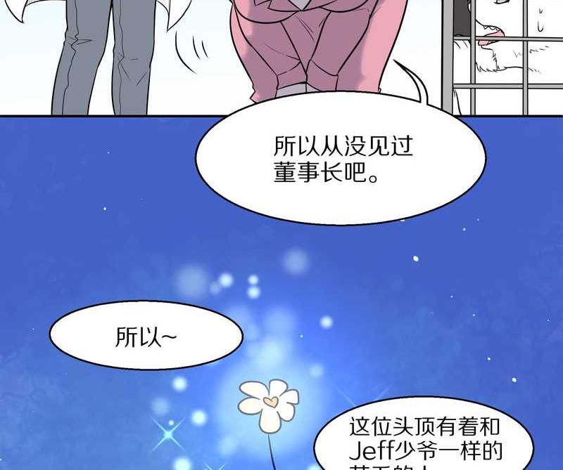 毛球星传说 第59集(1/2)-第59话