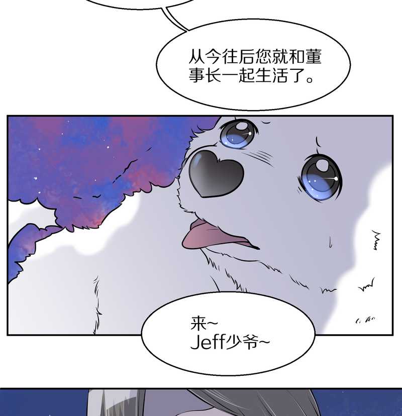 毛球星传说 第59集(1/2)-第59话