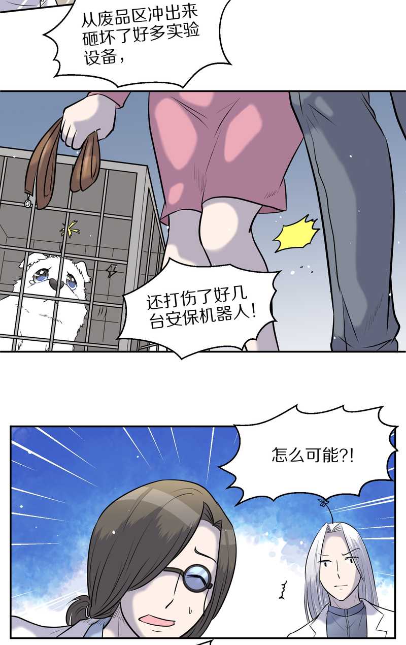 毛球星传说 第59集(1/2)-第59话