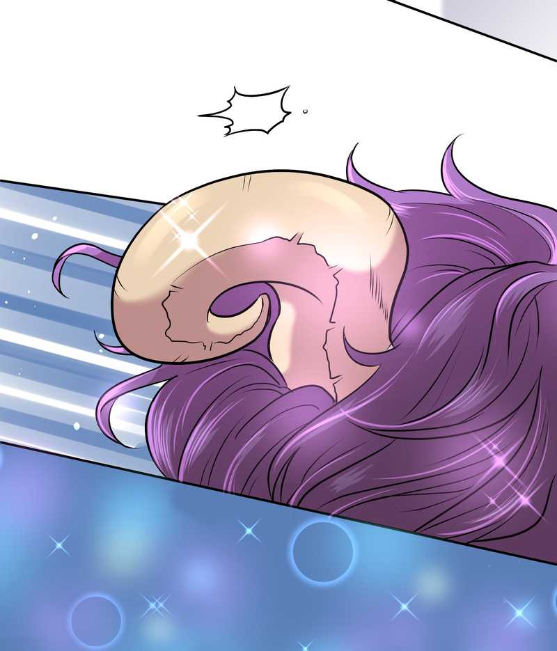 毛球星传说 第59集(1/2)-第59话
