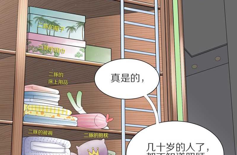 毛球星传说 第7集(1/2)-第7话