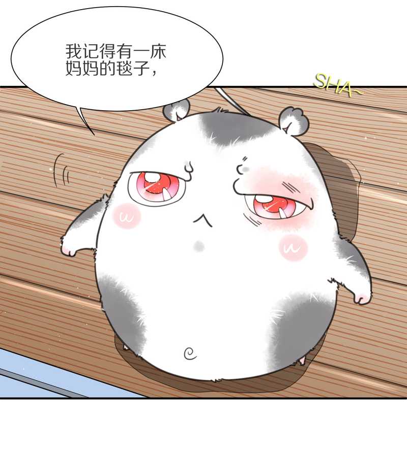 毛球星传说 第7集(1/2)-第7话