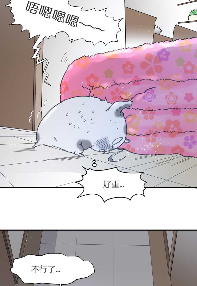 毛球星传说 第7集(1/2)-第7话