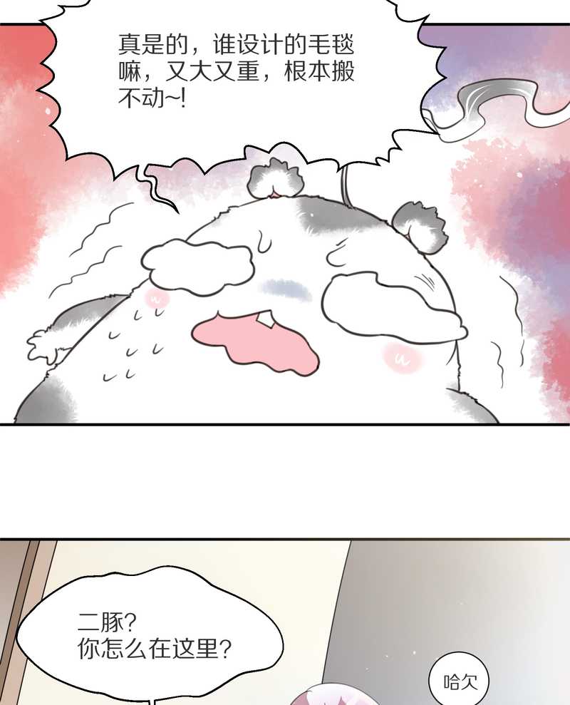 毛球星传说 第7集(1/2)-第7话