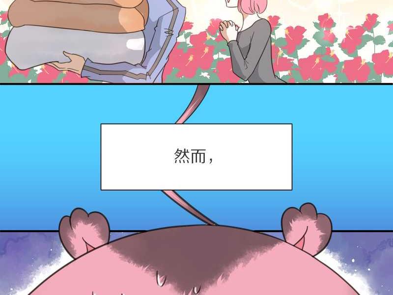 毛球星传说 第7集(1/2)-第7话
