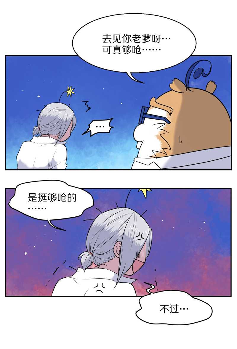 毛球星传说 第61集(1/2)-第61话