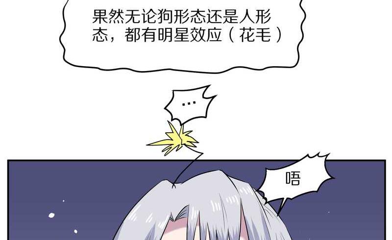 毛球星传说 第61集(1/2)-第61话