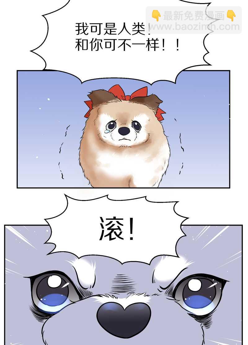 毛球星传说 第63集(1/2)-第63话