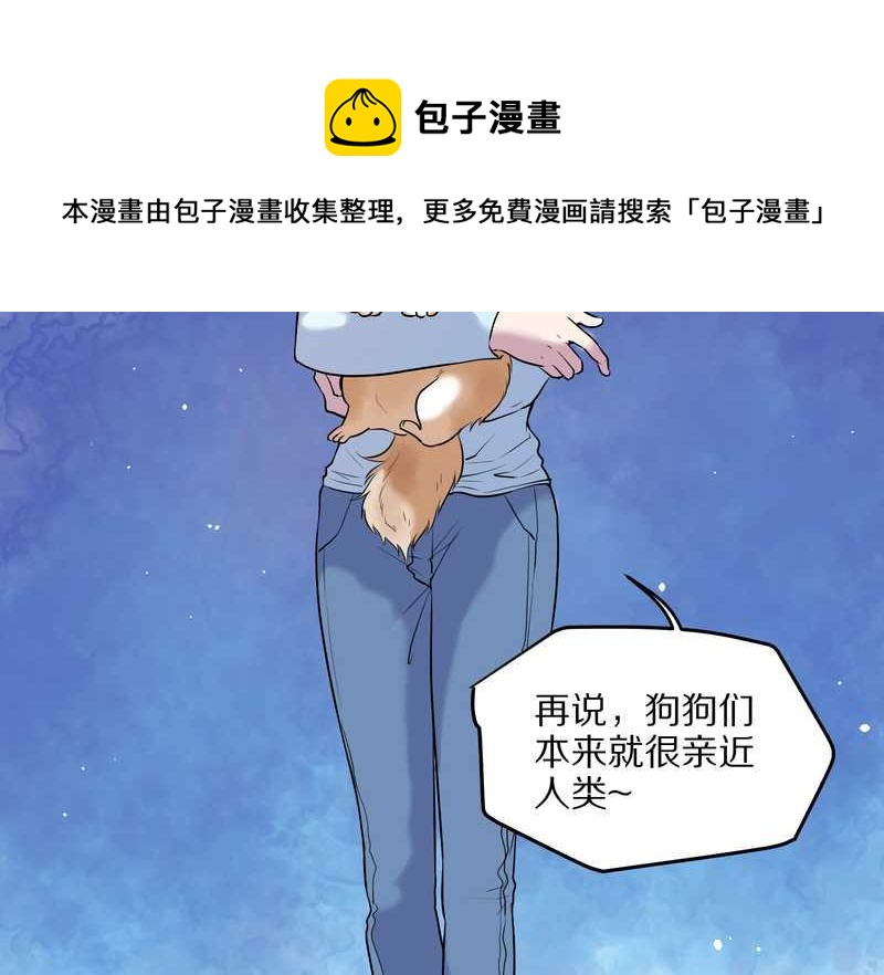毛球星传说 第63集(1/2)-第63话