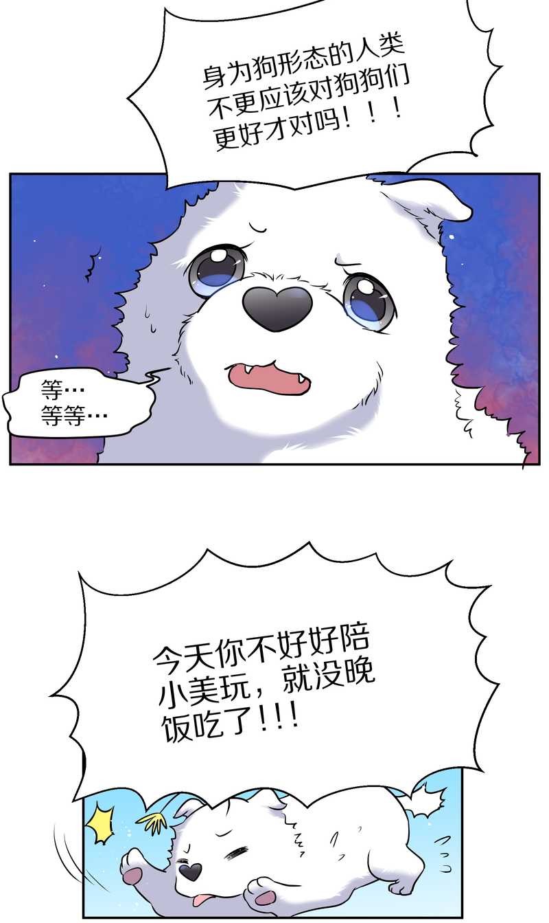 毛球星传说 第63集(1/2)-第63话