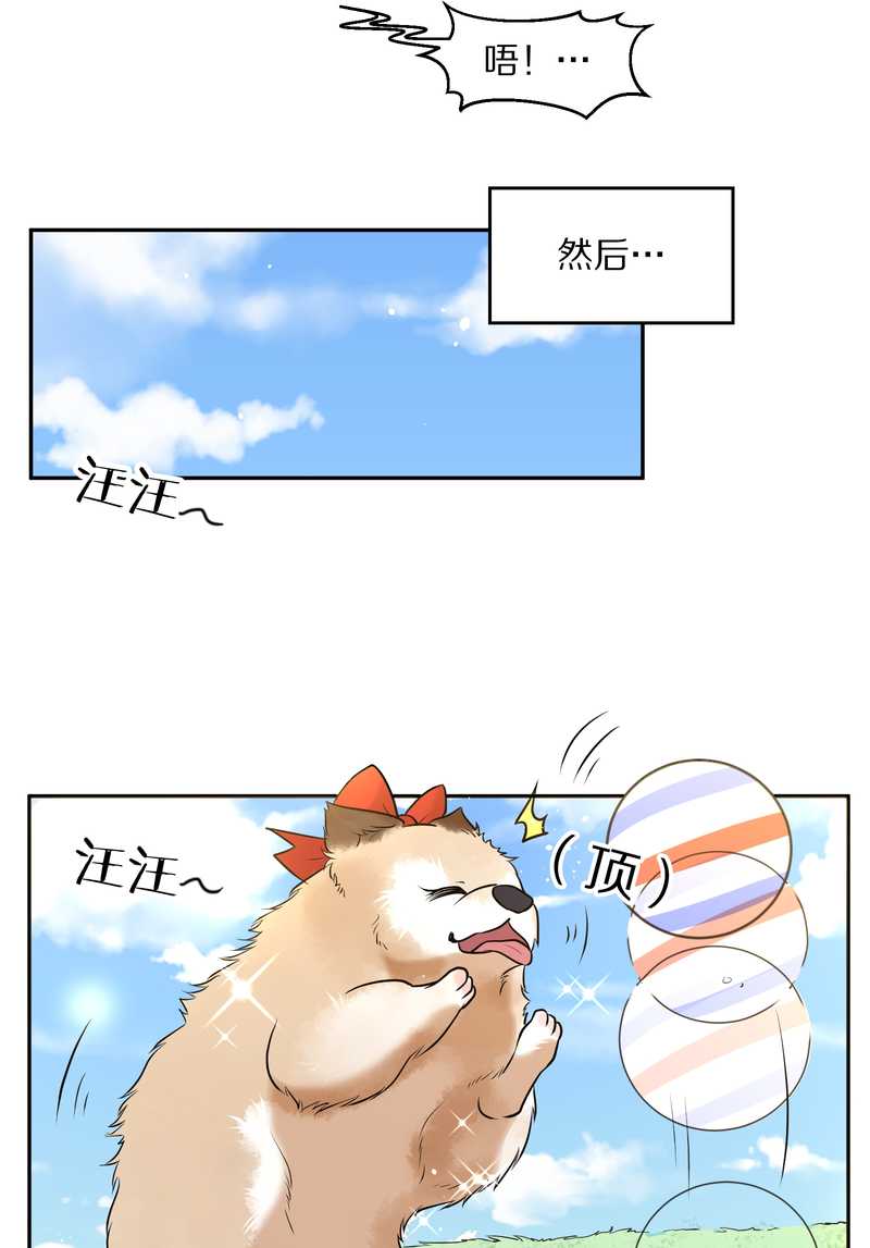毛球星传说 第63集(1/2)-第63话