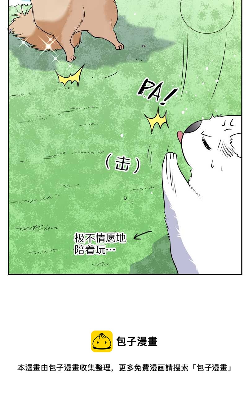 毛球星传说 第63集(1/2)-第63话