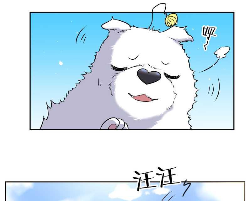 毛球星传说 第63集(1/2)-第63话