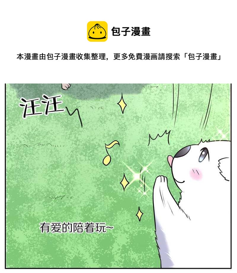 毛球星传说 第63集(1/2)-第63话