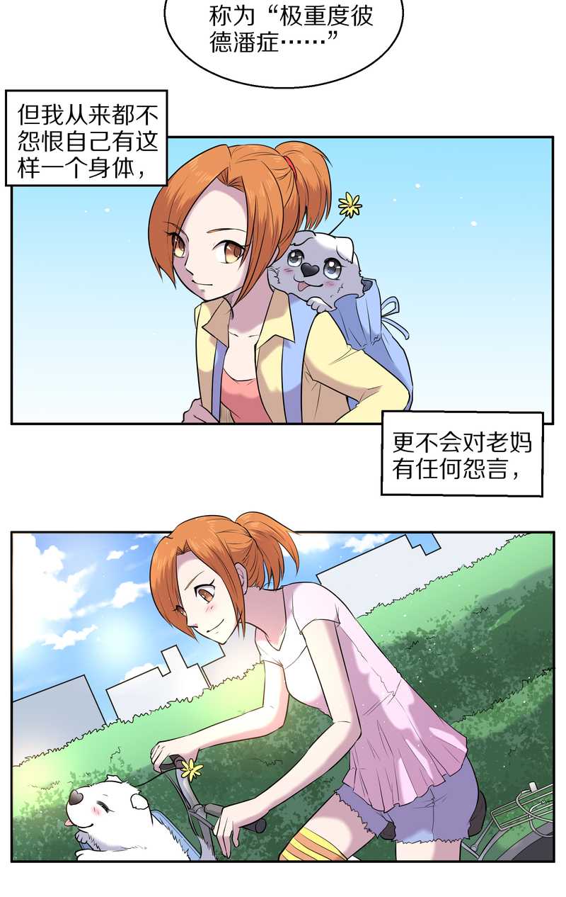 毛球星传说 第63集(1/2)-第63话
