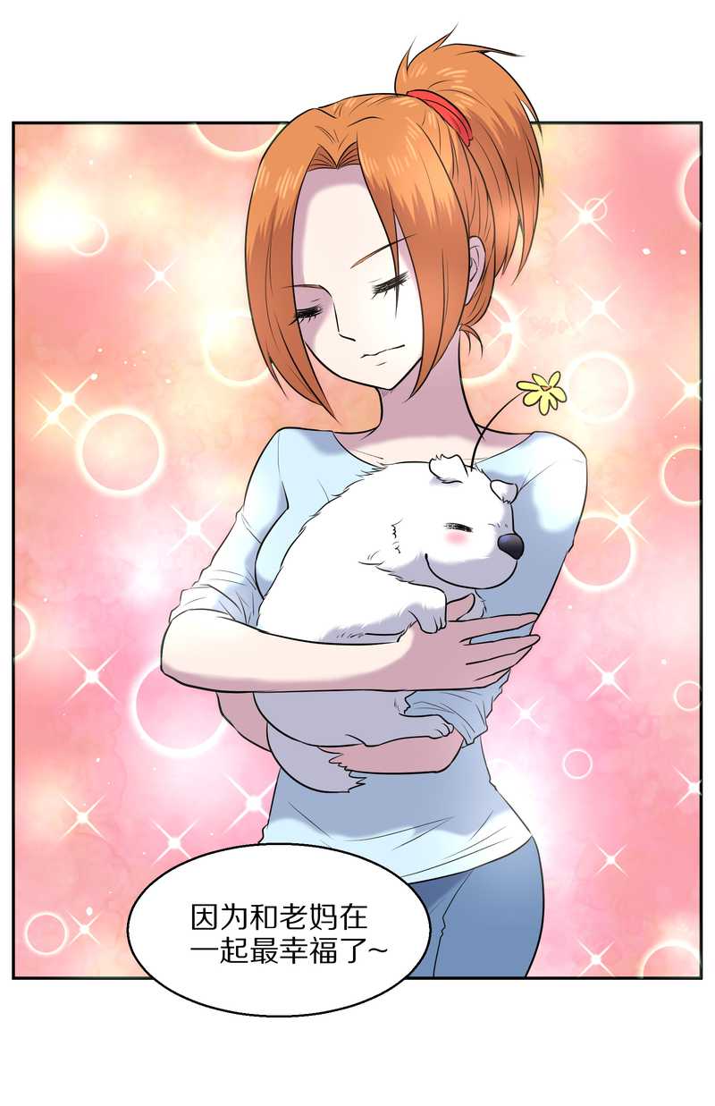 毛球星传说 第63集(1/2)-第63话