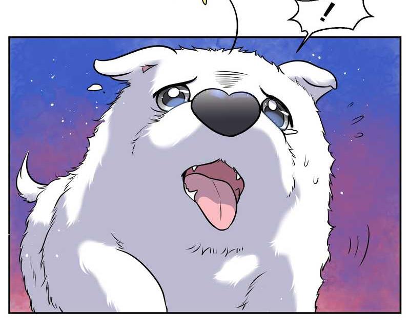 毛球星传说 第63集(1/2)-第63话