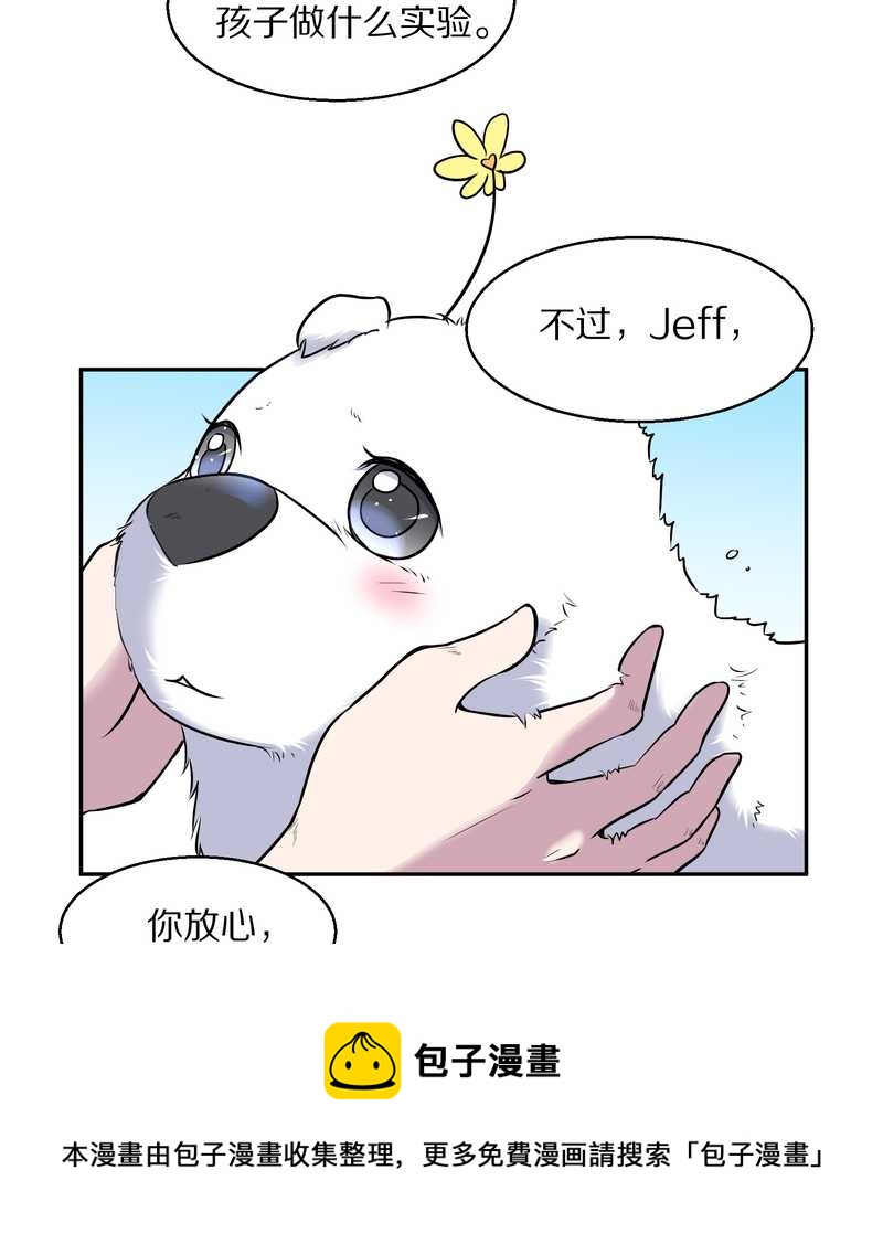 毛球星传说 第63集(1/2)-第63话