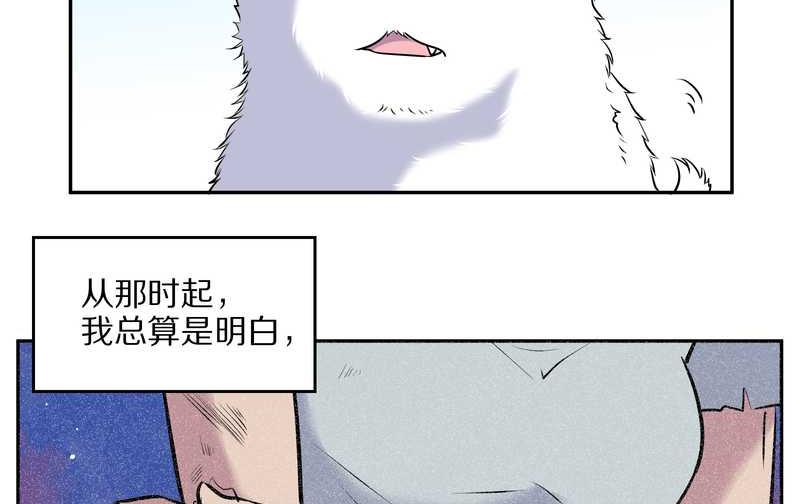 毛球星传说 第63集(1/2)-第63话