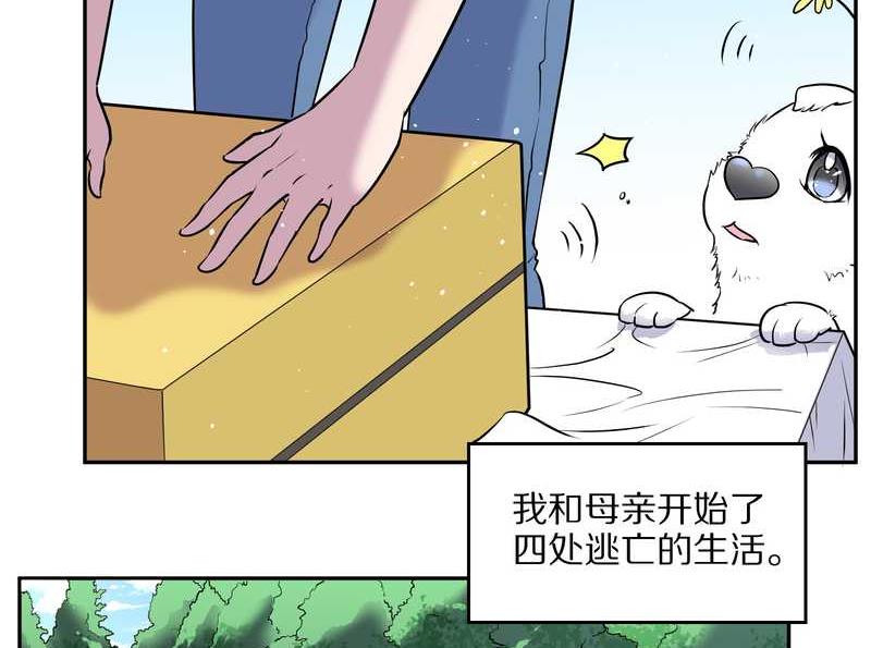 毛球星传说 第63集(1/2)-第63话