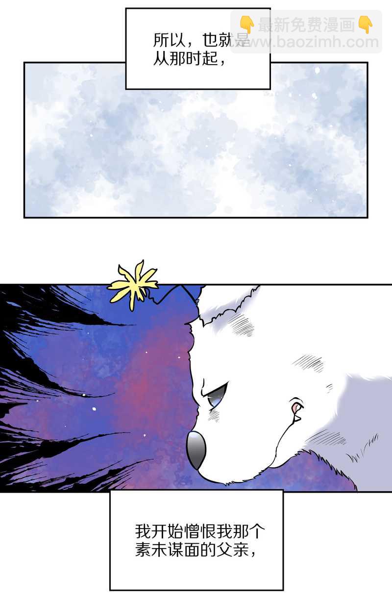 毛球星传说 第63集(1/2)-第63话