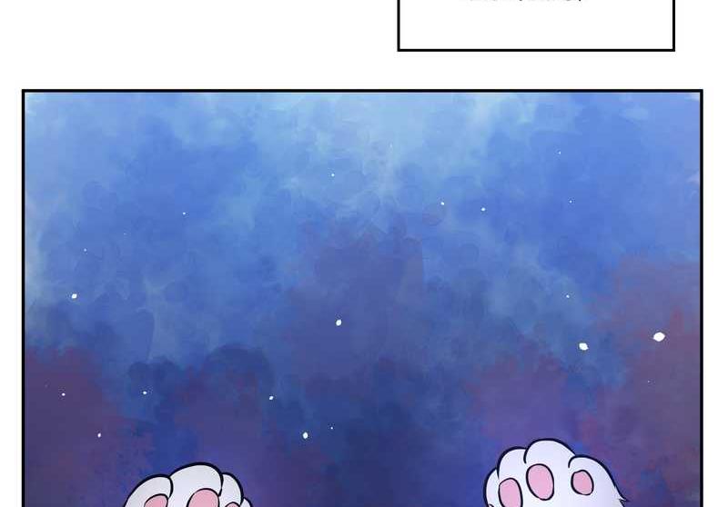 毛球星传说 第63集(1/2)-第63话