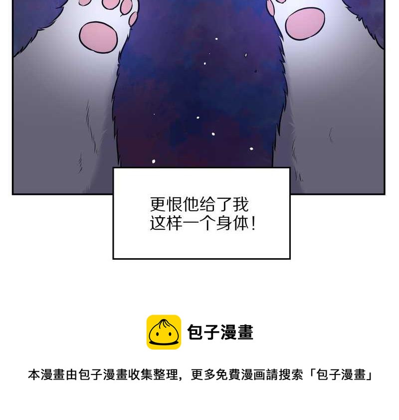 毛球星传说 第63集(1/2)-第63话