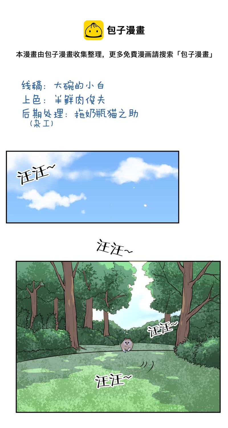 毛球星传说 第63集(1/2)-第63话