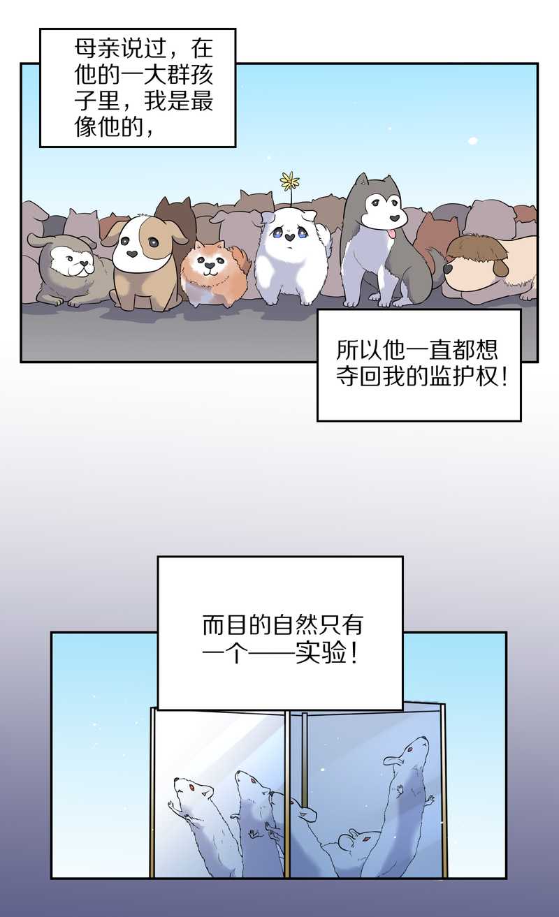 毛球星传说 第63集(1/2)-第63话