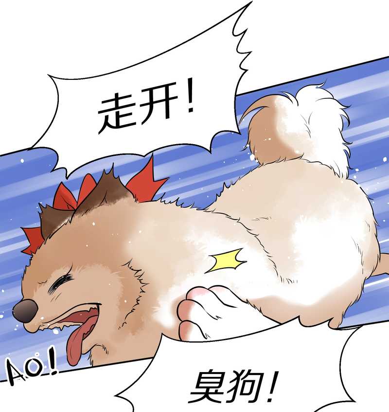 毛球星传说 第63集(1/2)-第63话