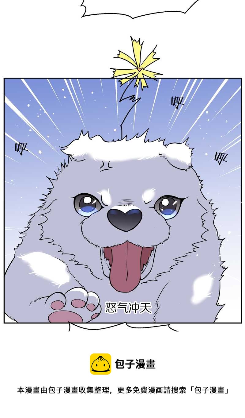 毛球星传说 第63集(1/2)-第63话