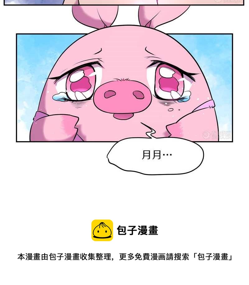 毛球星传说 第65集(1/2)-第65话