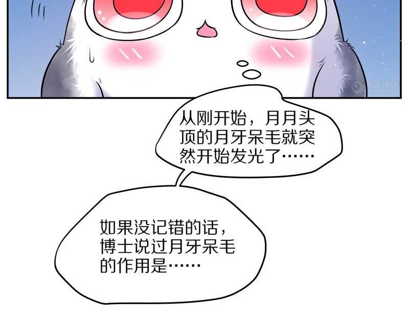 毛球星传说 第67集(1/2)-第67话