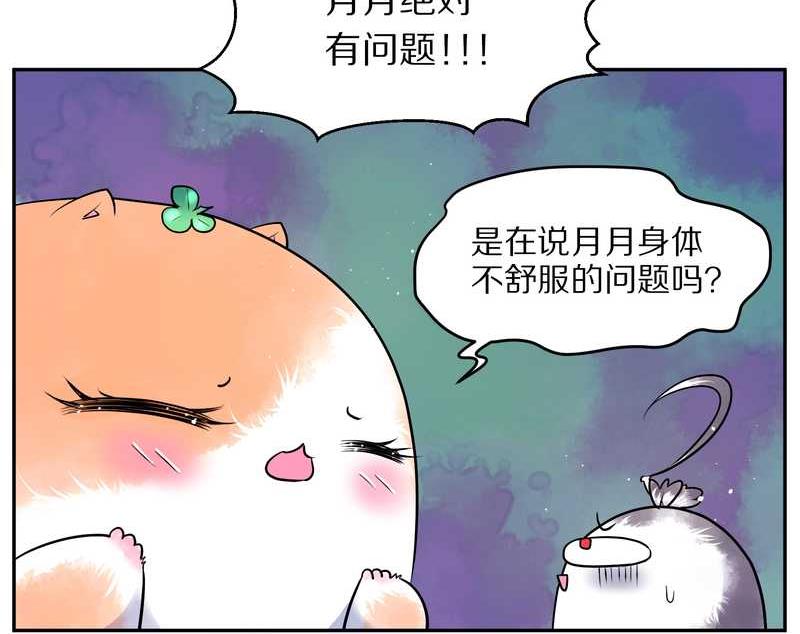 毛球星传说 第67集(1/2)-第67话