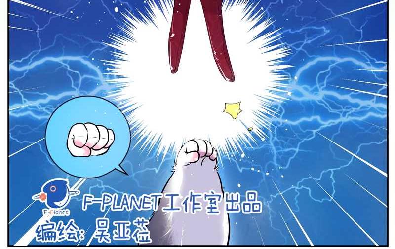 毛球星传说 第67集(1/2)-第67话