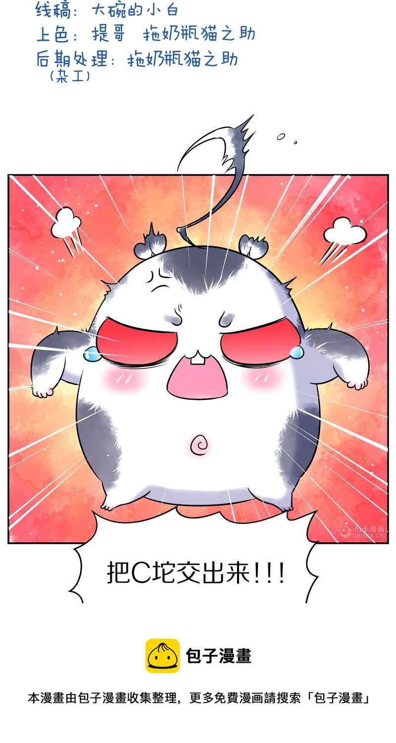 毛球星传说 第67集(1/2)-第67话