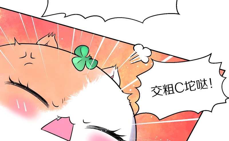 毛球星传说 第67集(1/2)-第67话