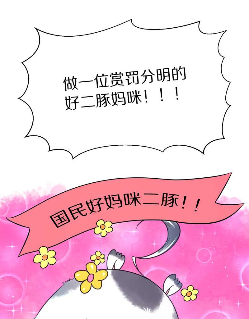 毛球星传说 第69集(1/2)-第69话